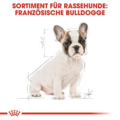 Royal Canin French Bulldog Puppy Hundefutter -Medpets Geschaft royal canin french bulldog puppy hondenvoer 138718 1000 none