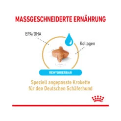 Royal Canin German Shepherd Adult 5+ - Hundefutter -Medpets Geschaft royal canin german shepherd adult 5 165106 2000 none