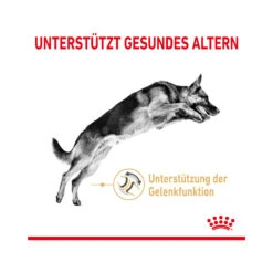 Royal Canin German Shepherd Adult 5+ - Hundefutter -Medpets Geschaft royal canin german shepherd adult 5 165112 2000 none
