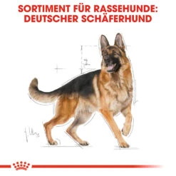 Royal Canin German Shepherd Adult Hundefutter 11 Royal Canin German Shepherd Adult Hundefutter -Medpets Geschaft royal canin german shepherd adult hondenvoer 138751 1000 none