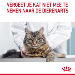 Royal Canin Hairball Care In Gelee - Katze -Medpets Geschaft royal canin hairball care in jelly kattenvoer 224002 2000 none