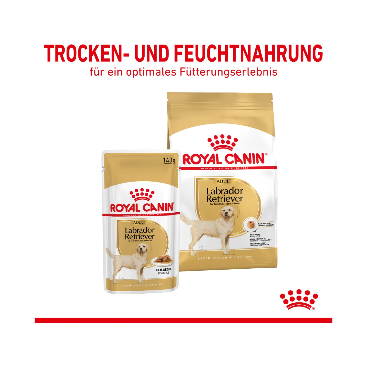 Royal Canin Labrador Retriever Adult Hundefutter - Frischebeutel 5 Royal Canin Labrador Retriever Adult Hundefutter - Frischebeutel – Bild 5