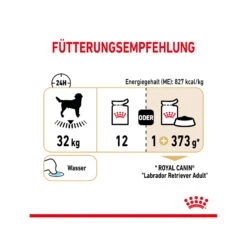 Royal Canin Labrador Retriever Adult Hundefutter - Frischebeutel 14 Royal Canin Labrador Retriever Adult Hundefutter - Frischebeutel -Medpets Geschaft royal canin labrador retriever adult wet 165796 2000 none