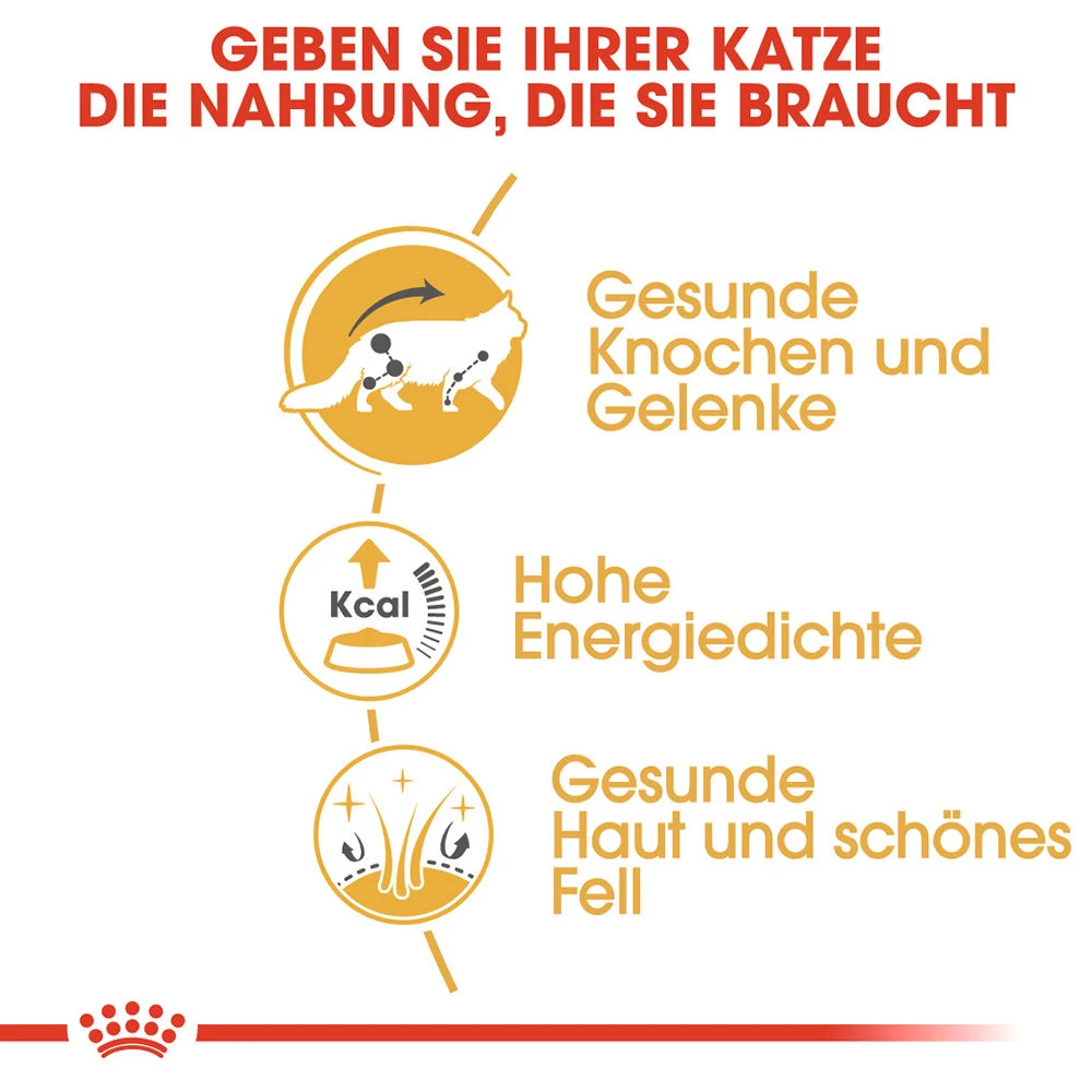 Royal Canin Maine Coon Adult Katzenfutter - Frischebeutel 3 Royal Canin Maine Coon Adult Katzenfutter - Frischebeutel – Bild 3