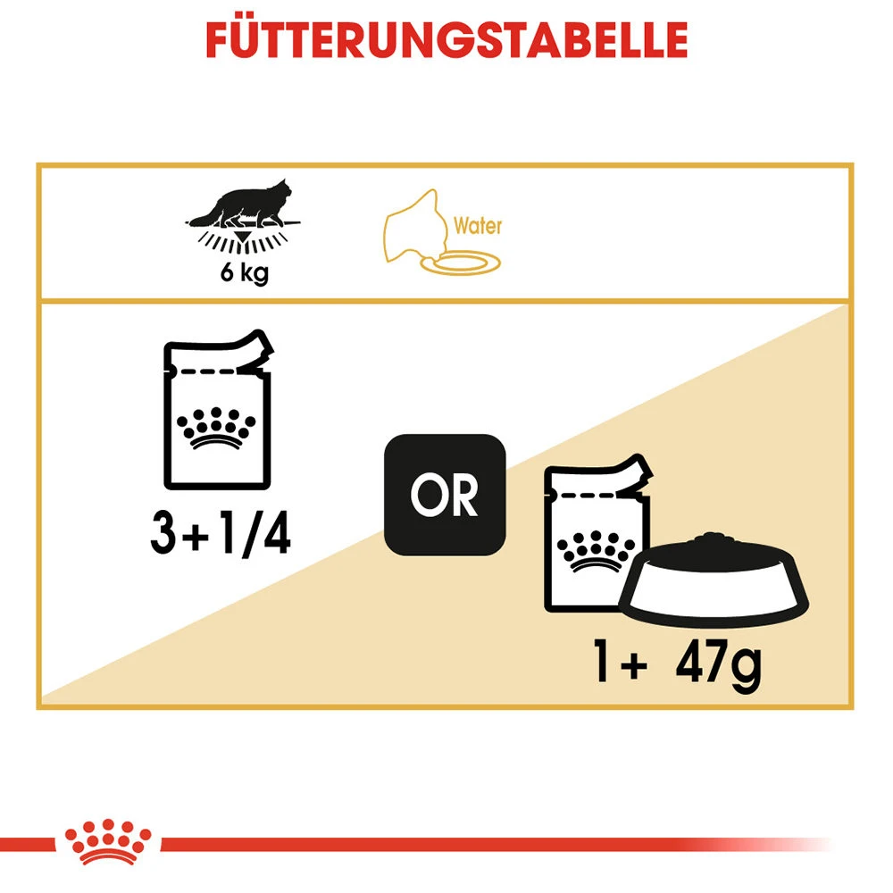 Royal Canin Maine Coon Adult Katzenfutter - Frischebeutel 7 Royal Canin Maine Coon Adult Katzenfutter - Frischebeutel – Bild 7