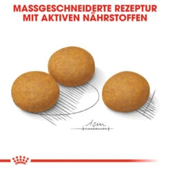 Royal Canin Maxi Dermacomfort Hundefutter -Medpets Geschaft royal canin maxi dermacomfort hondenvoer 132440 1000 none
