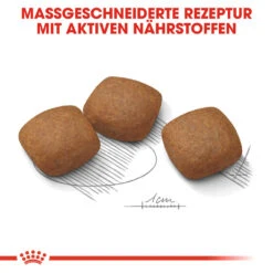 Royal Canin Maxi Joint Care Hundefutter 12 Royal Canin Maxi Joint Care Hundefutter -Medpets Geschaft royal canin maxi joint care hondenvoer 132551 1000 none