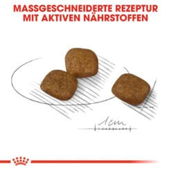 Royal Canin Mini Coat Care Hundefutter -Medpets Geschaft royal canin mini coat care hondenvoer 131135 1000 none