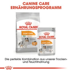 Royal Canin Mini Coat Care Hundefutter -Medpets Geschaft royal canin mini coat care hondenvoer 131144 1000 none