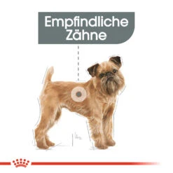 Royal Canin Mini Dental Care Hundefutter 13 Royal Canin Mini Dental Care Hundefutter -Medpets Geschaft royal canin mini dental care hondenvoer 130985 1000 none