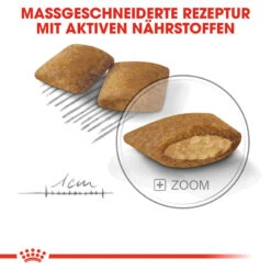 Royal Canin Mini Exigent Hundefutter 16 Royal Canin Mini Exigent Hundefutter -Medpets Geschaft royal canin mini exigent hondenvoer 133178 1000 none