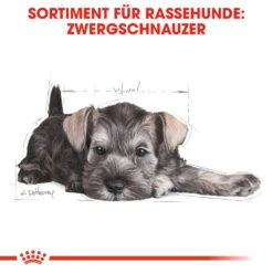 Royal Canin Mini Schnauzer Puppy Hundefutter 12 Royal Canin Mini Schnauzer Puppy Hundefutter -Medpets Geschaft royal canin mini schnauzer puppy hondenvoer 140182 1000 none