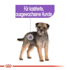 Royal Canin Mini Sterilised Hundefutter 15 Royal Canin Mini Sterilised Hundefutter -Medpets Geschaft royal canin mini sterilised hondenvoer 133229 1000 none