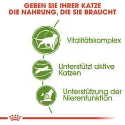 Royal Canin Outdoor 7+ Katzenfutter 14 Royal Canin Outdoor 7+ Katzenfutter -Medpets Geschaft royal canin outdoor 7 kattenvoer 127445 1000 none