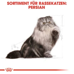 Royal Canin Persian Adult Katzenfutter -Medpets Geschaft royal canin persian adult kattenvoer 125033 1000 none