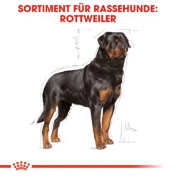 Royal Canin Rottweiler Adult - Hundefutter -Medpets Geschaft royal canin rottweiler adult hondenvoer 139936 1000 none