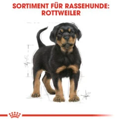 Royal Canin Rottweiler Puppy - Hundefutter -Medpets Geschaft royal canin rottweiler puppy hondenvoer 140029 1000 none