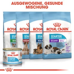 Royal Canin Starter Mousse Mother & Babydog - Hundefutter - Dosen -Medpets Geschaft royal canin starter mousse mother babydog hondenvoer 129467 1000 none