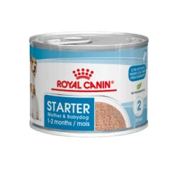 Royal Canin Starter Mousse Mother & Babydog - Hundefutter - Dosen -Medpets Geschaft royal canin starter mousse mother babydog hondenvoer 207290 2000 none