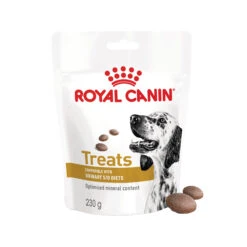 Royal Canin Urinary S/O Leckerlis