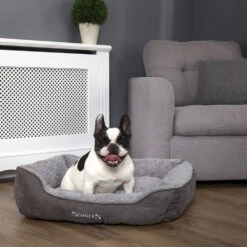 Scruffs Cosy Box Bett -Medpets Geschaft scruffs cosy box bed 209468 1000 none