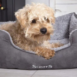 Scruffs Cosy Box Bett -Medpets Geschaft scruffs cosy box bed 209483 1000 none
