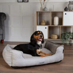 Scruffs Harvard Orthopädisches Boxbett 10 Scruffs Harvard Orthopädisches Boxbett -Medpets Geschaft scruffs harvard orthopedisch box bed 226543 0500 none