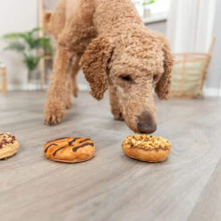 Trixie Donuts -Medpets Geschaft trixie donuts 229667 0500 none