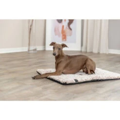 Trixie Liegematte Calida 10 Trixie Liegematte Calida -Medpets Geschaft trixie ligmat calida 226684 0500 none