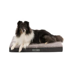 Trixie Vital Matratze Bendson -Medpets Geschaft trixie vitaal matras bendson donkergrijslichtgrijs 178369 1000 none