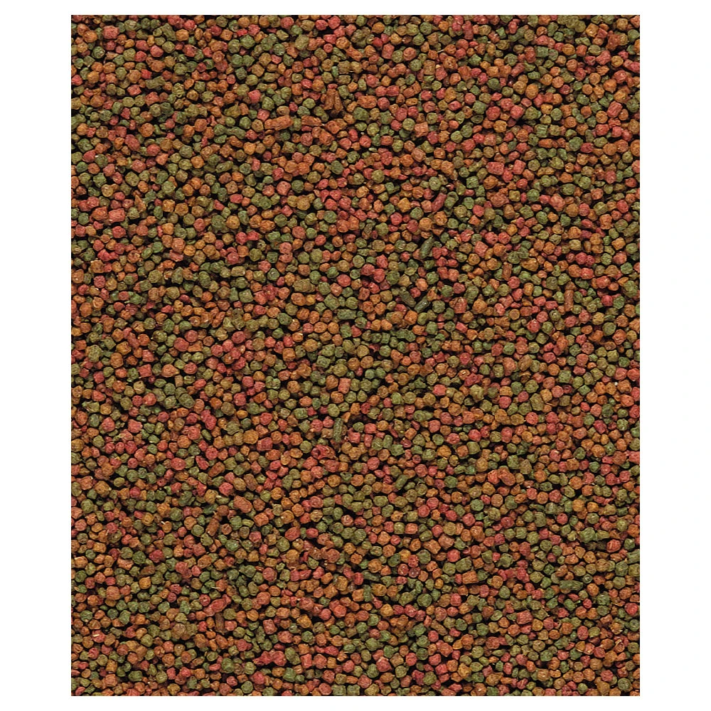 Versele-Laga Nutribird C19 Aufzuchtfutter 3 Versele-Laga Nutribird C19 Aufzuchtfutter – Bild 3