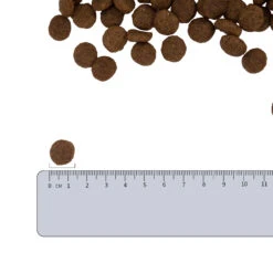 Vetality Hypoallergenic - Hundefutter -Medpets Geschaft vetality hypoallergenic hondenvoer 182338 2000 none