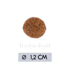 Vetality Hypoallergenic - Hundefutter -Medpets Geschaft vetality hypoallergenic hondenvoer 195473 1000 none