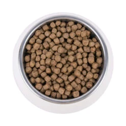 Vetality Hypoallergenic - Katzenfutter -Medpets Geschaft vetality hypoallergenic kattenvoer 195266 1000 none