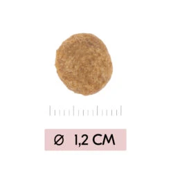 Vetality Skin Support - Hundefutter -Medpets Geschaft vetality skin support hondenvoer 195452 1000 none