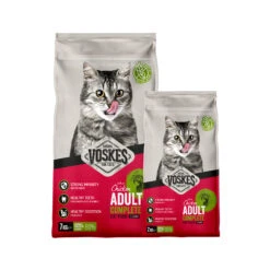 Voskes Adult Katzenfutter - Huhn -Medpets Geschaft voskes adult kattenvoer kip 229902 2000 none