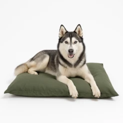 Lex & Max Tivoli Hundekissen -Medpets Geschaft wnvzOzwA9jcfU3oS3rpbthufbkNkqD metaSHVza2ktSG9uZGVua3Vzc2VuIExleC5wbmc