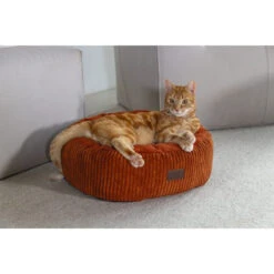 Designed By Lotte Ribbed Katzenkorb -Medpets Geschaft wzkHWa6F1uSvyHV4r5uQr71YiHOUzU metaRGVzaWduZWQtQnktTG90dGUtUmliYmVkLUxpZ2JlZC1UZXJyYWNvdHRhLTEuanBn