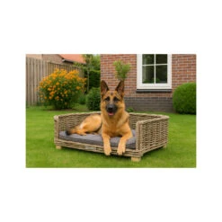 51 Degrees North Rattan Bed -Medpets Geschaft x72mhAWd3SOvarNaRWyhRms8Dn28YX metacHJvZHVjdGJveC1tZWRwZXRzMjAwMC5qcGc