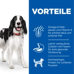 Hill's Science Plan Adult Advanced Fitness Hundefutter - Dosen - Rind -Medpets Geschaft xV9TkDROFv9Qlk9rGFxL4ipnxn6QBo metac2NpZW5jZS1wbGFuLWFkdWx0LW5hdC1ydW5kLTMtREUuSlBH