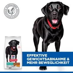 Hill's Science Plan - Perfect Weight & Active Mobility - Large 12 Hill's Science Plan - Perfect Weight & Active Mobility - Large -Medpets Geschaft ztOfNhVIiHEcbRXJwc322YH7WJO94n metaNTI3NDIwNTI0MTBfMl9ERV81MDAuSlBH